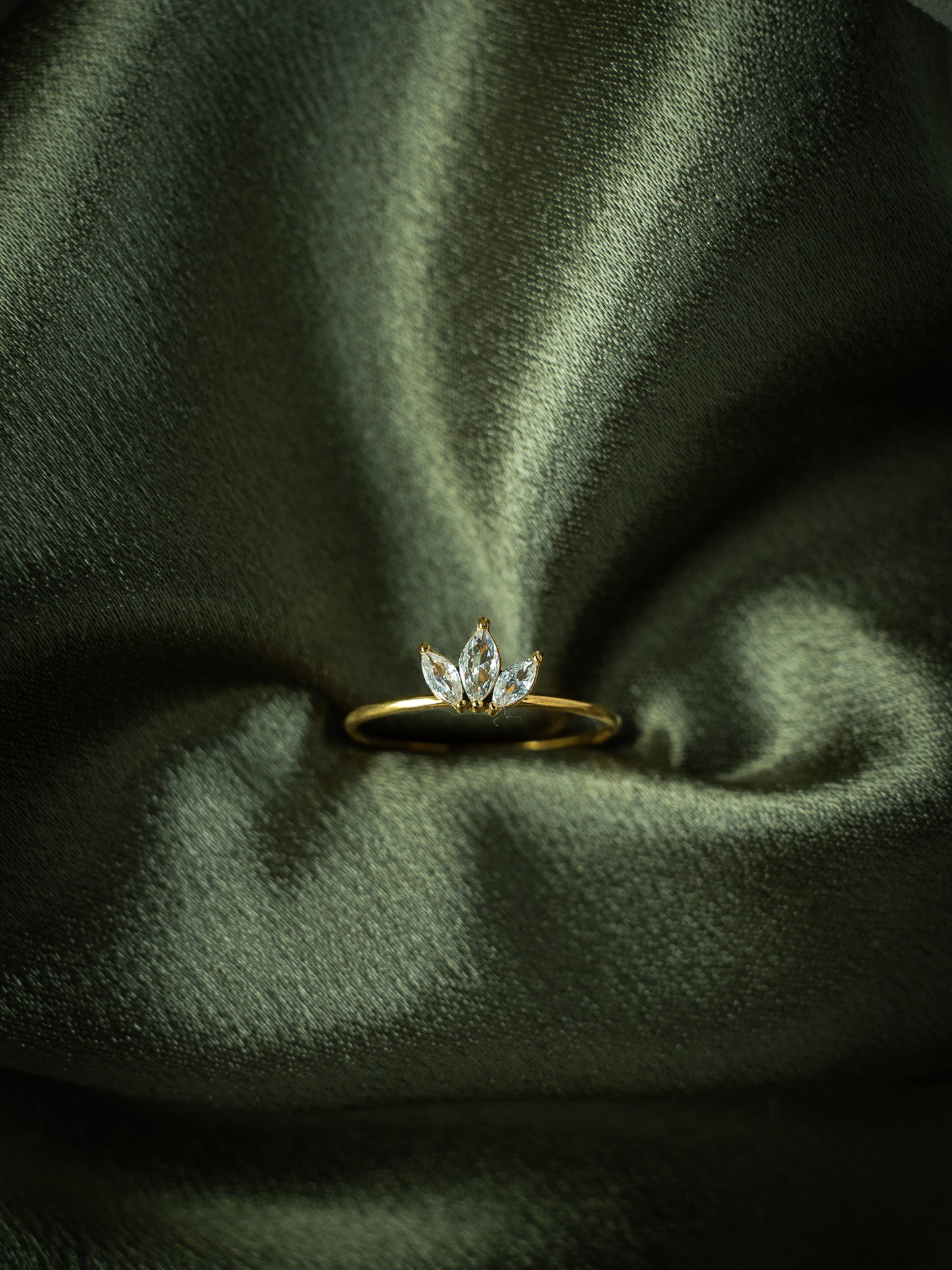 The Crown Ring