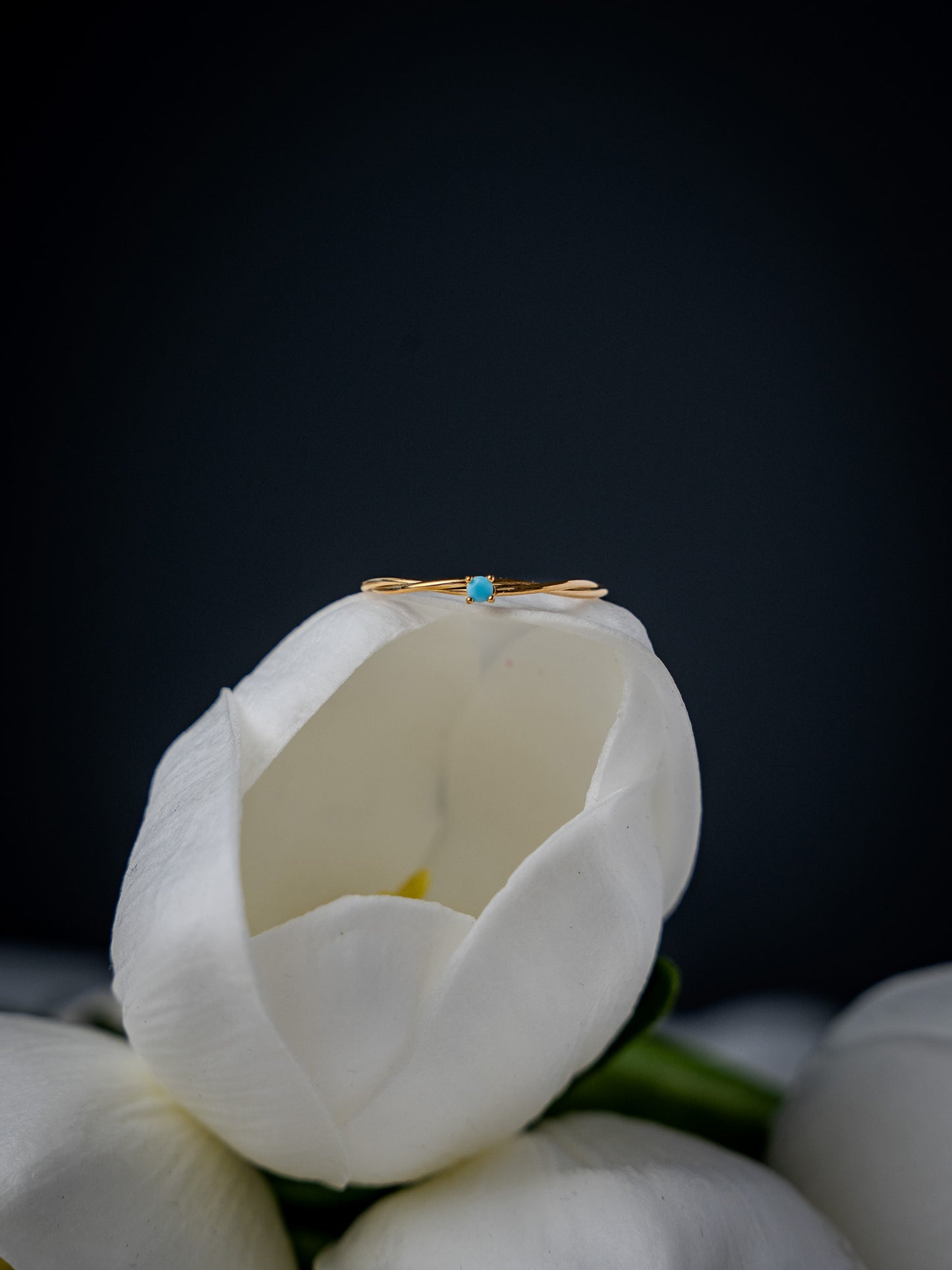 Skya Ring