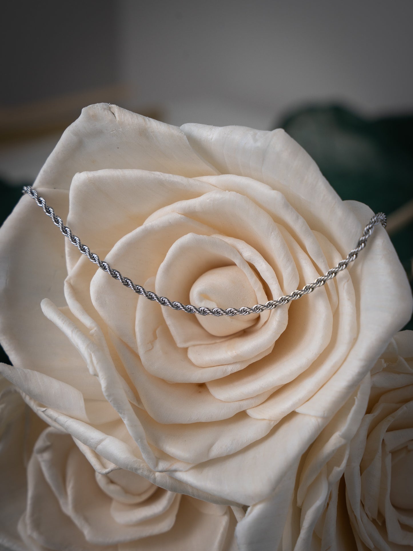 Valor Necklace S
